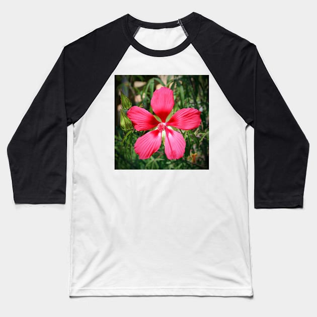 Scarlet Swamp Hibiscus Baseball T-Shirt by Cynthia48